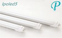 T8 LED Tube Light