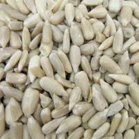 Supply All Kinds of White Sunflowers Seed Kernels No Shell New Crop