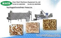 Isolated Protein/Texted Soya Protein/Soya Nugget machine