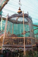 Bird Cage Best Seller Bird Cages Wholesale Wood Wooden High-End Handmade Bird Cage Home Decore