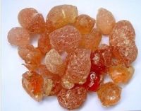 Gum Arabic