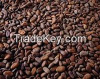 Sun Dry Cocoa Beans