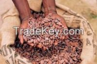 Fermented Cocoa Beans