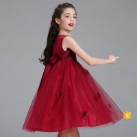 New Beauty Flower Gilrs Fashion Frock Lace Party Dress