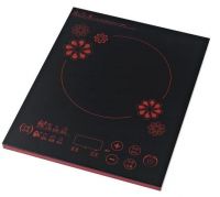 induction cooker