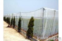 Plastic Agriculture Shading