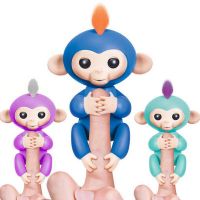 Christmas Gift Baby Monkey Of New