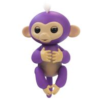 Factory Direct Electronic Interactive Pet Toy