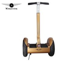 1000W self Self balance stand up two wheel scooter Electric chariot Bike/Vehicle/Scooter with CE/Rosh/FCC