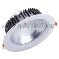 Led Down Light 30W CL534