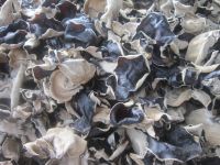 DRIED BLACK FUNGUS- GOOD FOR HEALTH