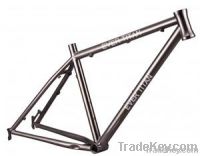 Titanium Mountain Bicycle Frame