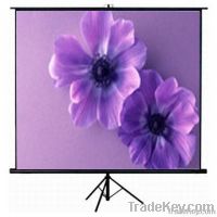 tripod screen with matte white