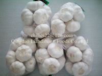 GAP/ KOSHER/ HALAL New Crop Fresh White Garlic