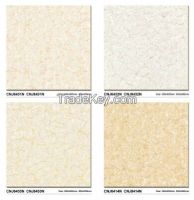 Polished tile/Porcelain tile