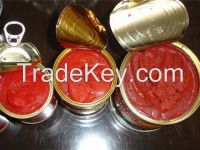 Canned Tomato Paste, Sachet Tomato Paste, Tomato Sauce, Tomato Puree, Tomato Ketchup