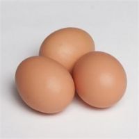 Eggs