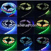 DC12V glue waterproof IP65 48leds/m 11.52W/m SMD5050 led strip light dream color 