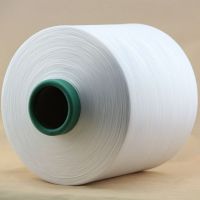 100% Polyester High Tensity 150d/96f Nim DTY Yarn