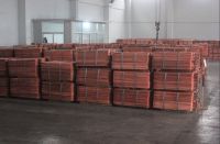 Electro copper Cathode Grade A 99.99%