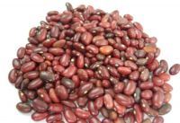 Red Kidney Bean