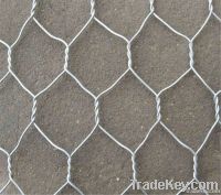 hexagonal wire mesh