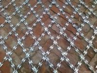 razor wire fence