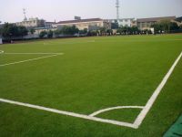 ARTIFICIAL GRASS