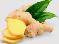 Ginger