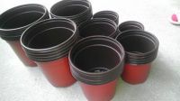 Cheap Nursery Pots, Double Color Plastic Flower Pots