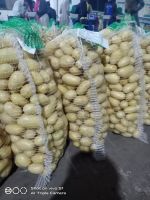 PREMIUM QUALITY POTATO AVR