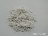 Chrysotile asbestos fiber