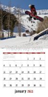 2015 new design wall calendar, 12 sheets