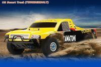 1/8 Scale  Nitro Powered Desert