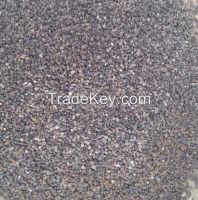 Palm Kernel