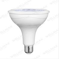 LED PAR LAMP PAR30/PAR38