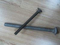  Carriage Bolts(DIN603) 