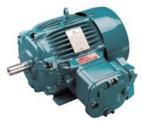 Brook Crompton Electric Motor