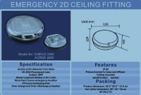 Emergency Ceiling Light