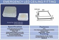 Emergency Ceiling Light