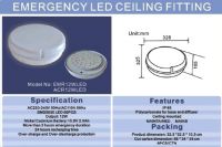 Emergency Ceiling Light