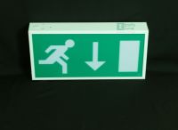 Emergency Exit Light