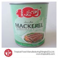 50x155g Canned mackerel in tomato sauce