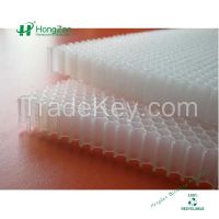 Polypropylene PP Plastic Honeycomb core