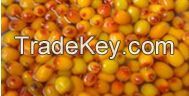 Frozen sea buckthorn