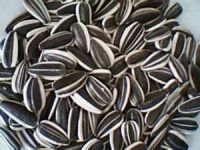 sunflower seeds