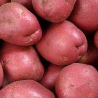 Red Potatoes