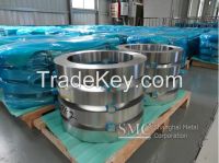 Stainless Steel Precision Strip