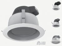 LED Down Light