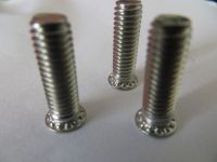 China self-clinching screws